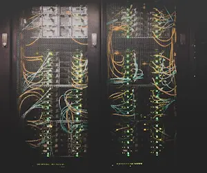 Website backup and recovery support